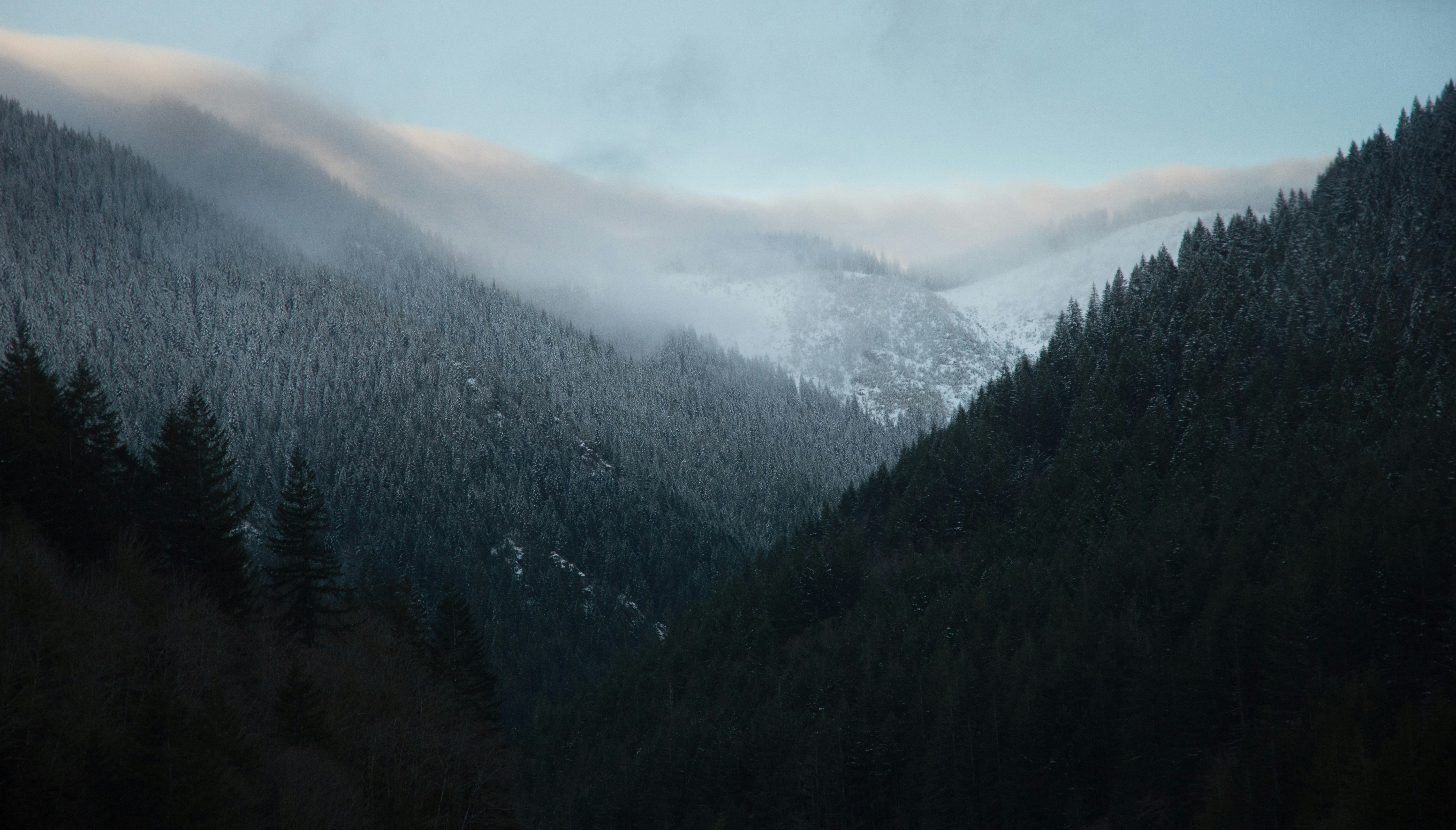 landscape photography of mountains during foggy season